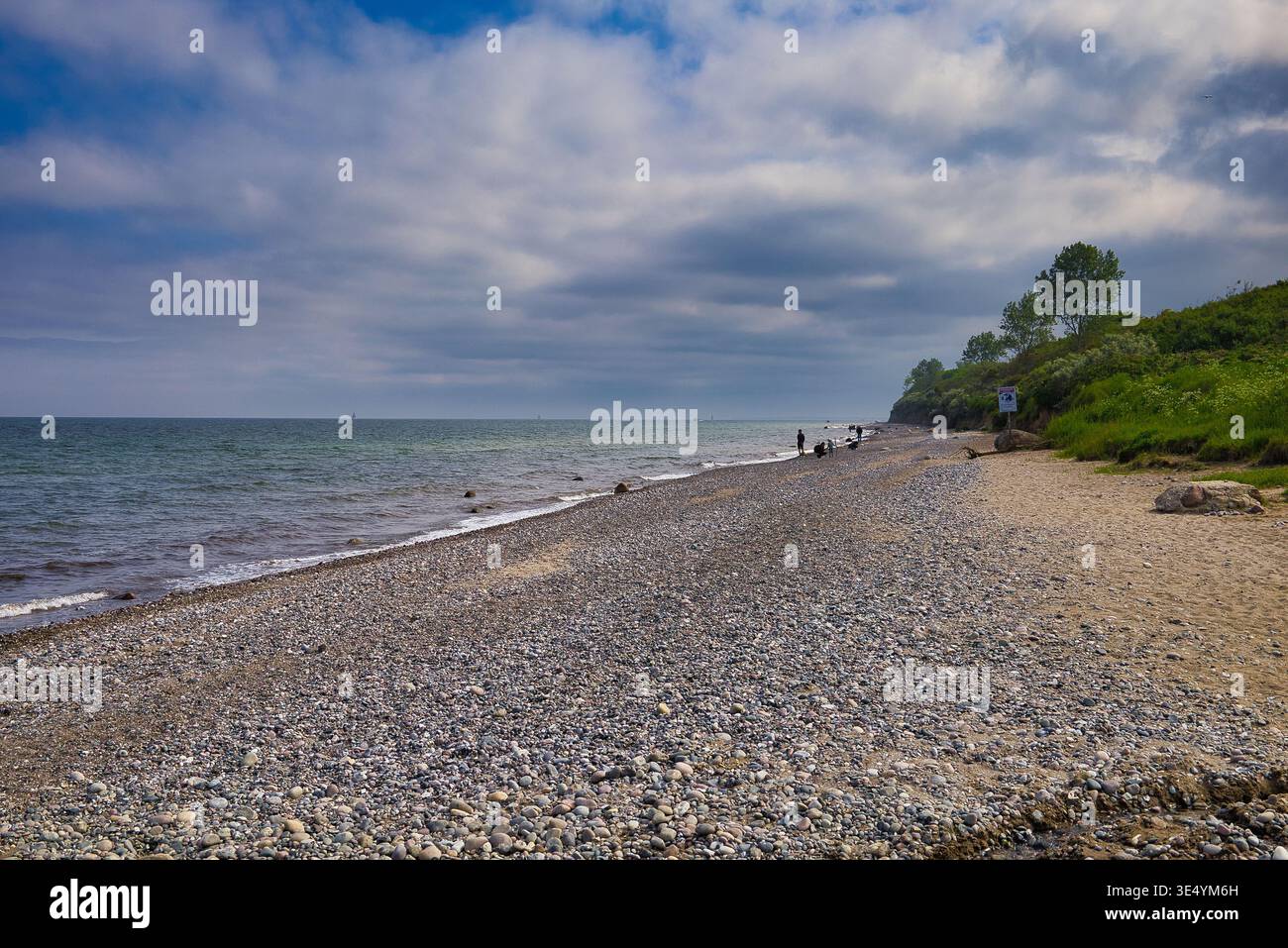 Naturbelassener Steinstrand an der Ostseeküste unter bewölktem Himmel – Weite Meereslandschaft mit Küstenvegetation und fernen Spaziergängern Foto Stock