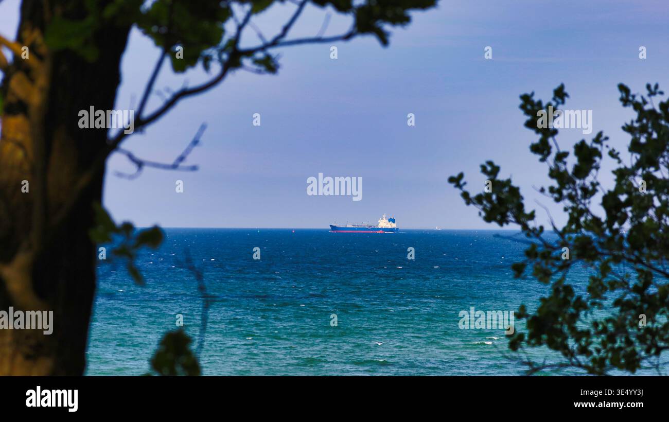 Blick durch Bäume auf ein Frachtschiff am Horizont der blauen Ostsee vor der Küste von Mecklenburg-Vorpommern Foto Stock