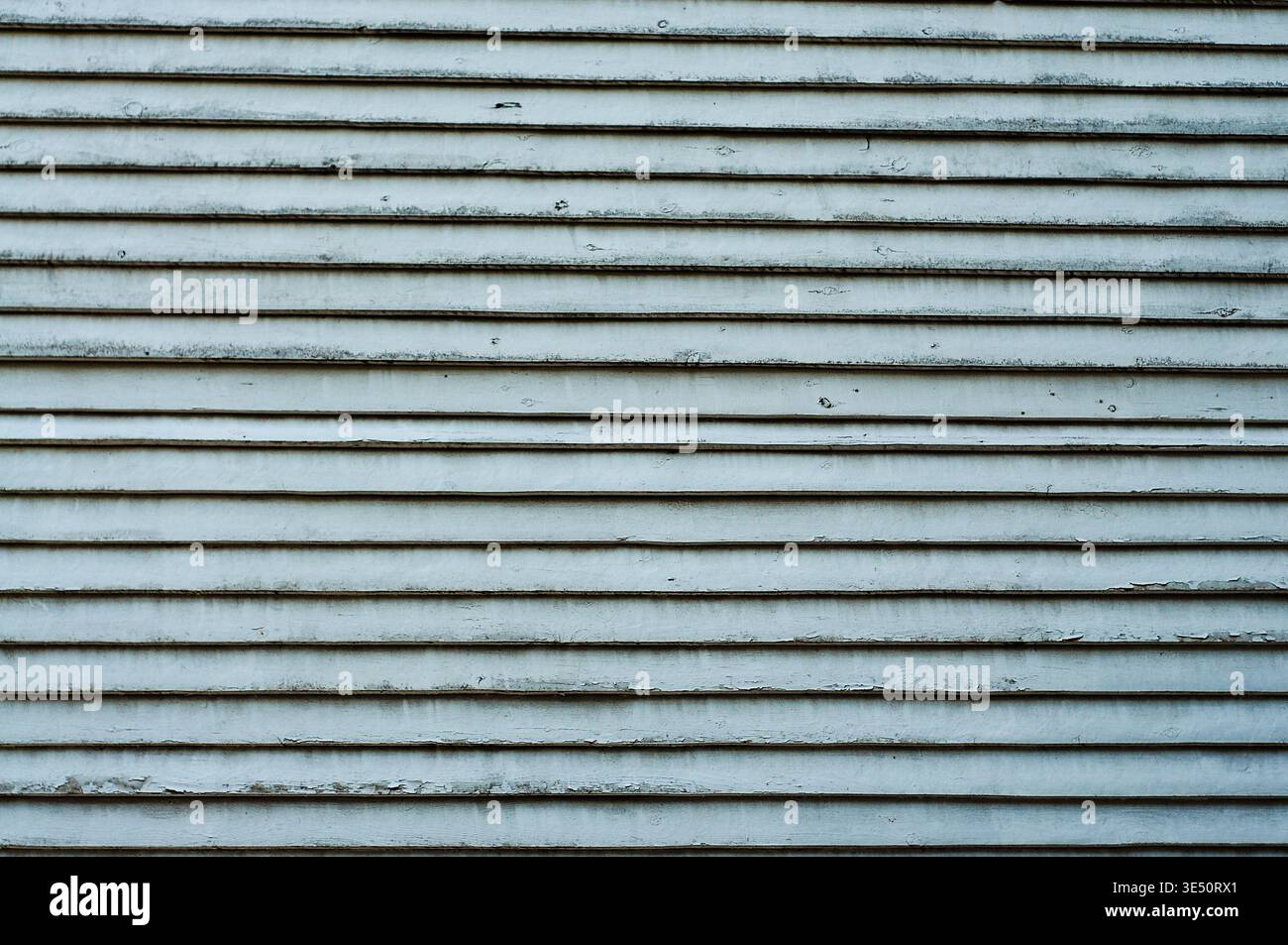 Parete in legno grigio. Fondo in legno bianco. Parete in legno bianco. Fondo in legno bianco. Parete in legno bianco. Foto Stock