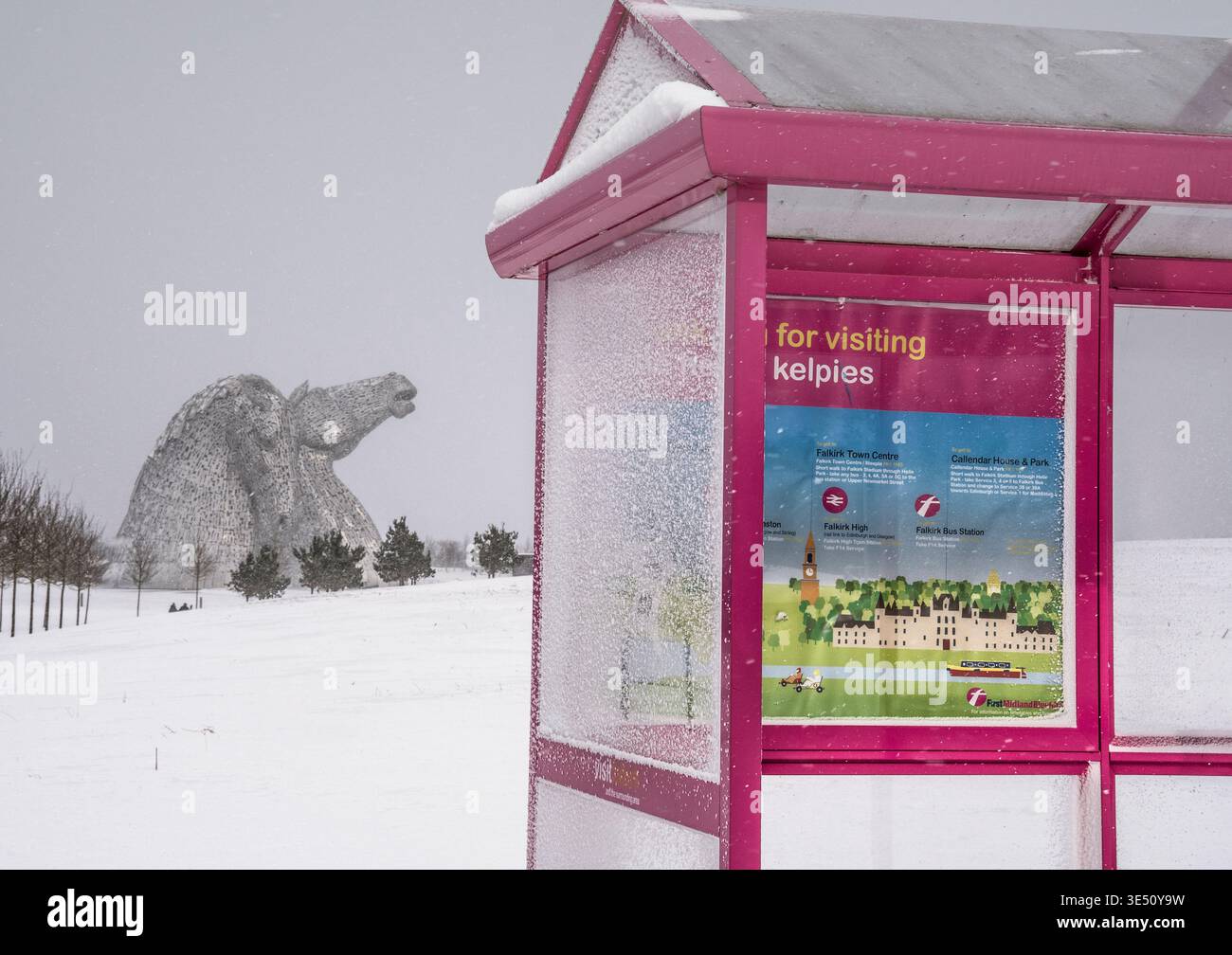 Un luminoso riparo rosa per autobus incornicia le sculture della testa di cavallo Kelpies in un campo innevato vicino a Falkirk, Scozia, creando un contrasto sorprendente tra conte Foto Stock