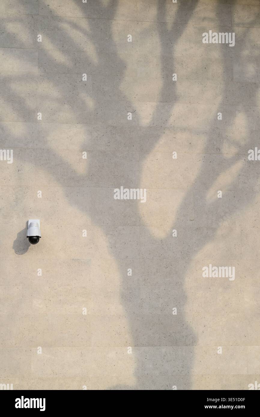 Ombra di un albero gettato sul muro di Southbank Place, Belvedere Road, Londra, Regno Unito. 23 marzo 2026 Foto Stock