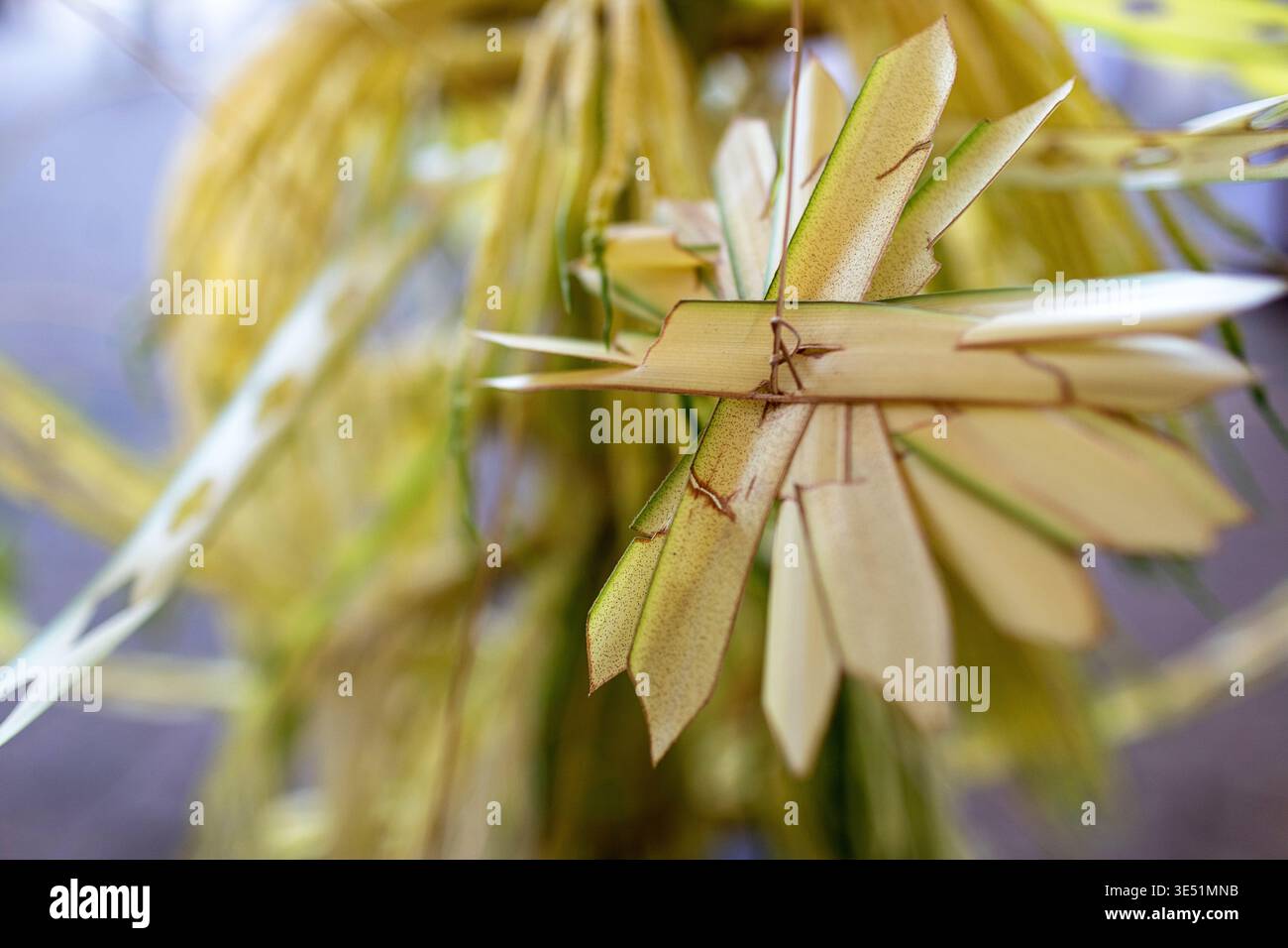 Decorazioni tradizionali in stile Kuruthola realizzate con teneri foglie di cocco, Kannur, Kerala, India Foto Stock