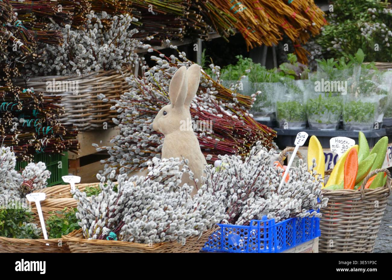 Coniglio pasquale che fa il venditore al Viktualienmarkt di Monaco di Baviera, nascosto tra rami di salice freschi e cesti. Concetto di decorazione stagionale divertente. Foto Stock