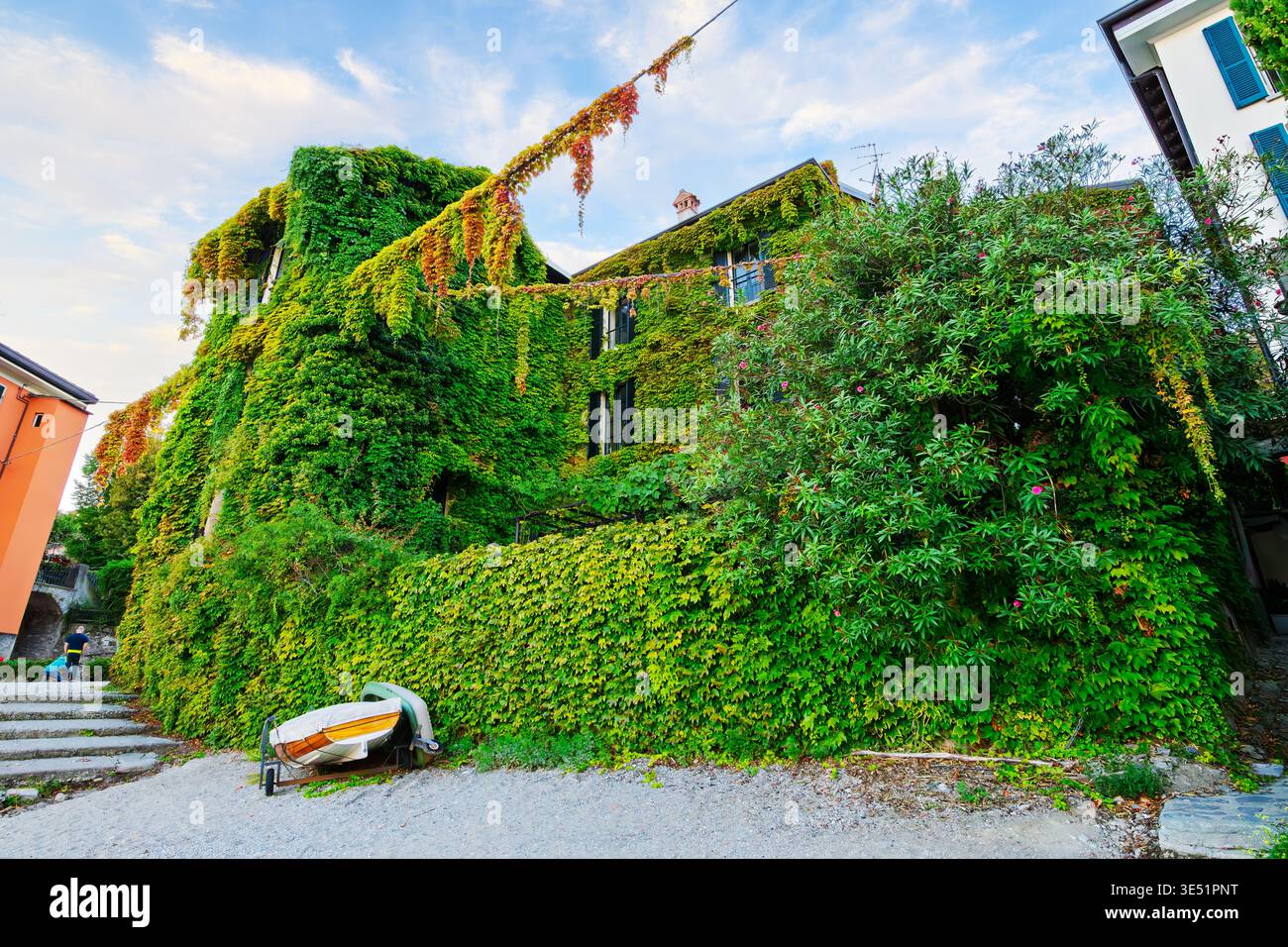 Un edificio del XVI secolo completamente coperto da una secolare edera nel tranquillo villaggio di pescatori di Pescallo, vicino a Bellagio, sul Lago di Como Foto Stock