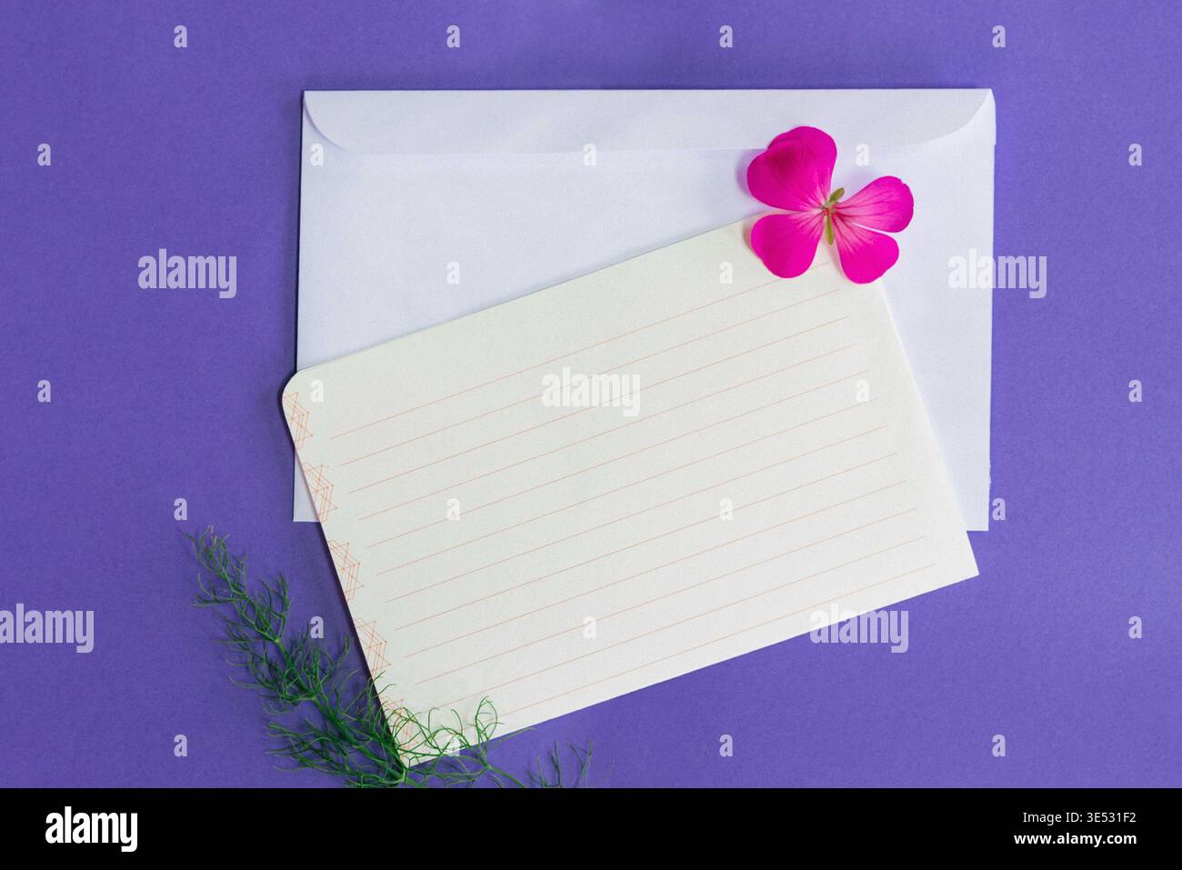 Biglietto d'auguri floreale e busta su sfondo viola – modello per la festa della mamma, San Valentino e compleanno Foto Stock