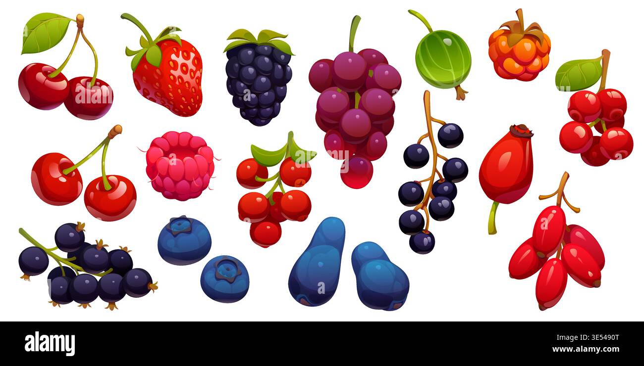 Set di cartoni animati con succose ciliegie, lamponi, fragole e mirtilli, mirtilli, mirtilli, ribes nero, uva e uva spina, rosehip maturo, spinoso marino, torbido. Bacche estive vettoriali Illustrazione Vettoriale