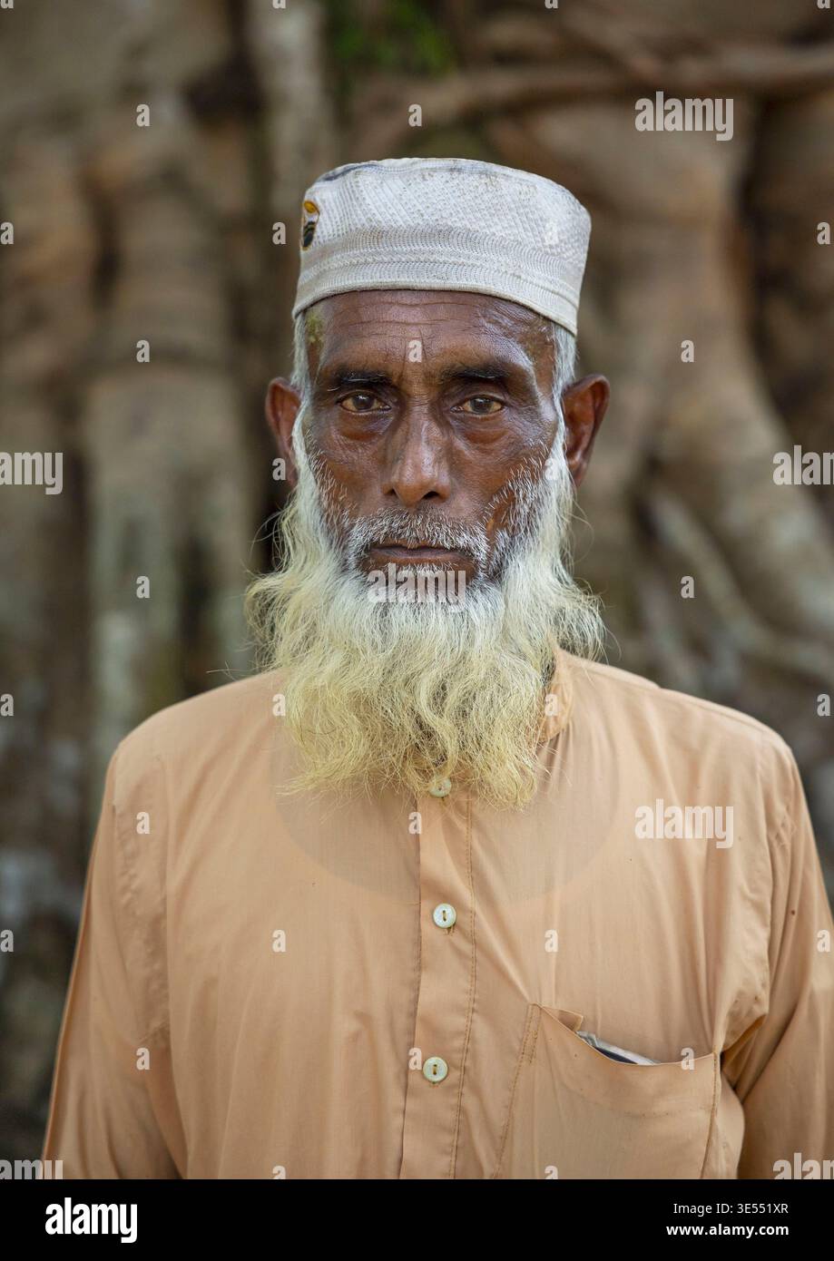 Bangladesh, divisione Sylhet, Kamalganj, Ritratto di un vecchio con la barba bianca davanti ad un albero di banyan Foto Stock