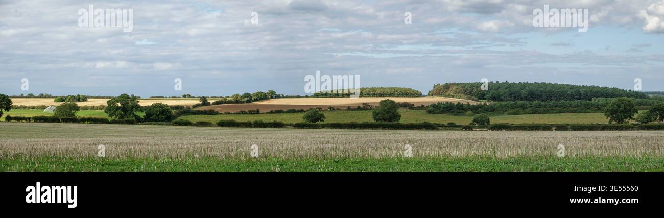 Ampio panorama paesaggistico della campagna del Norfolk con campi, alberi, siepi e grande cielo Foto Stock