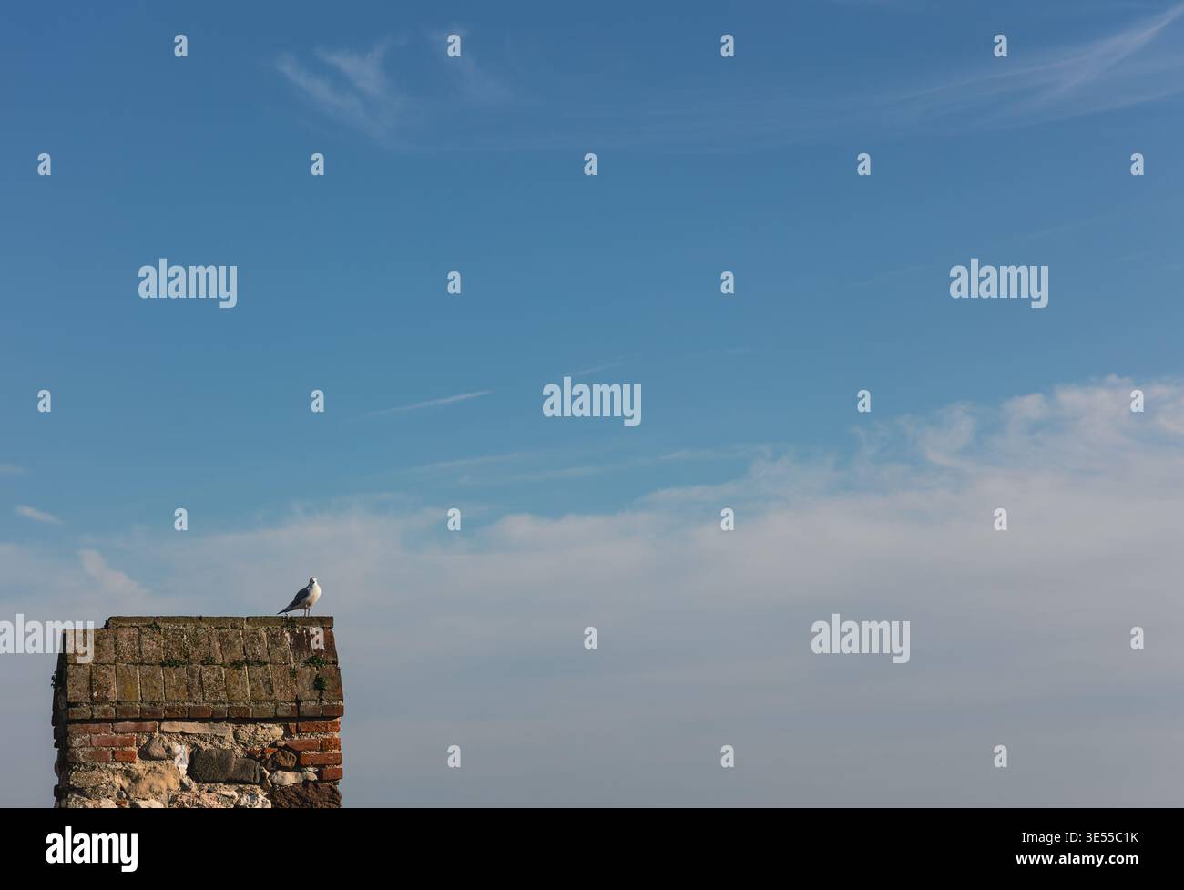 Gabbiano su un muro di pietra contro il cielo blu con nuvole, scenografia minimale con spazio per le copie Foto Stock