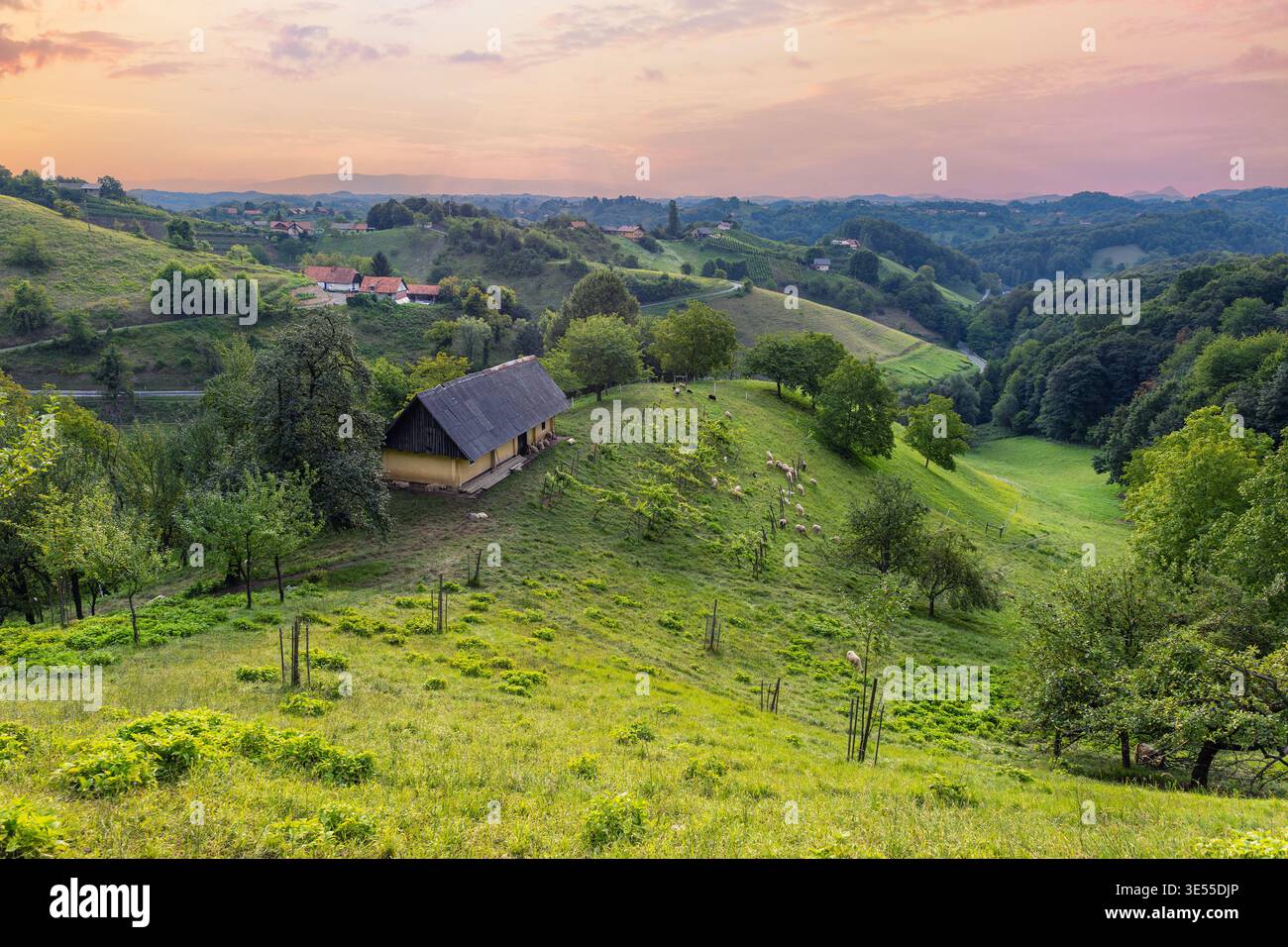 Scenografici vigneti colline cascina capannone di pecore strada tortuosa villaggio sparso tranquillo paesaggio rurale drammatico caldo cielo del tramonto. Verde Foto Stock