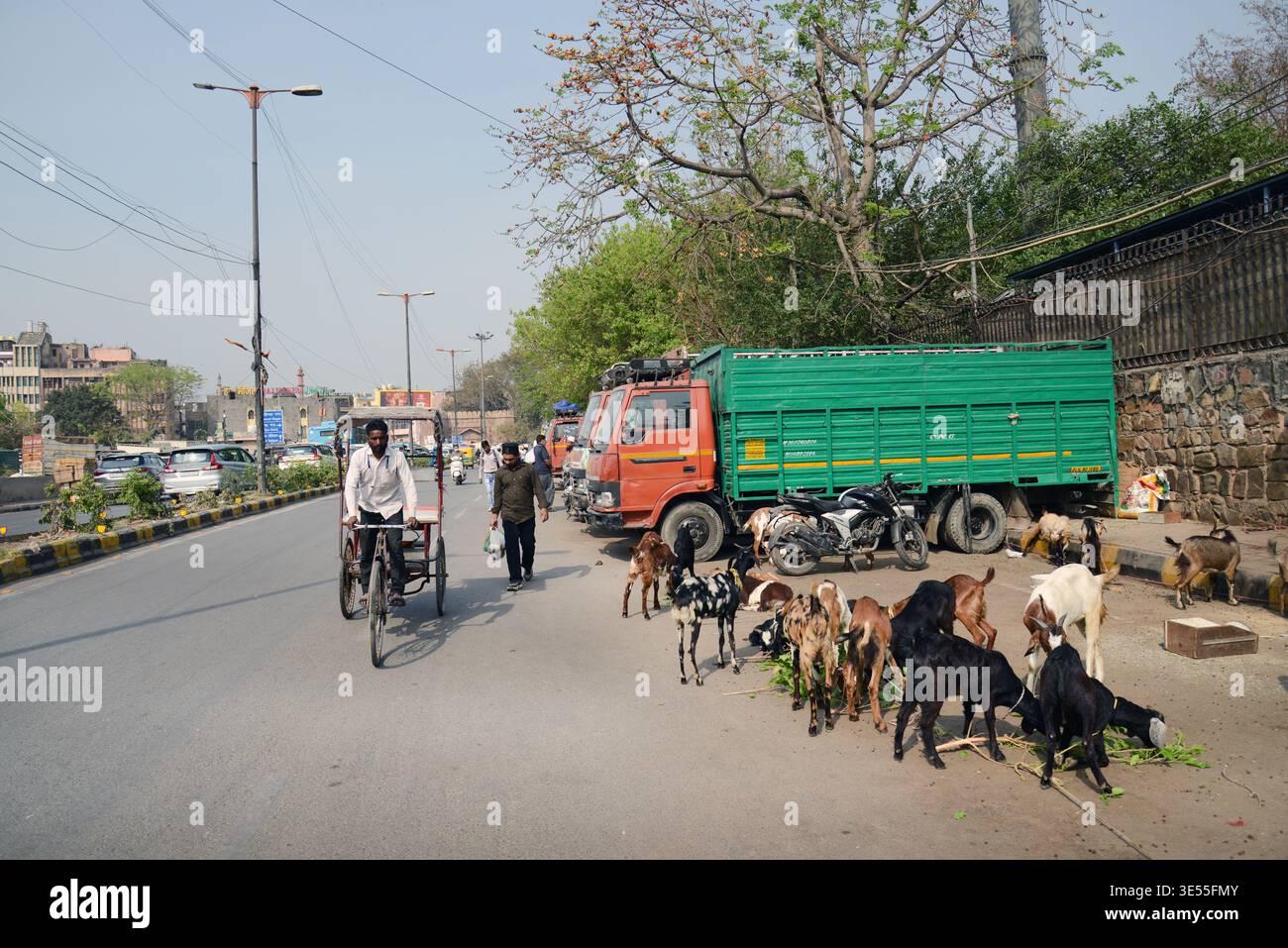 La vivace Asaf Ali Rd di fronte alla porta Turkman a Delhi, India. Foto Stock