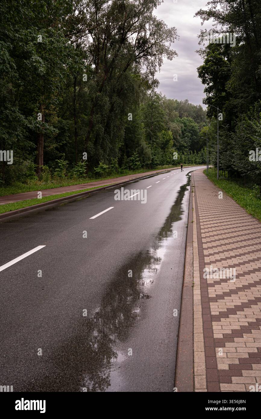 Empty Wet Road attraversa Forest dopo la pioggia Foto Stock