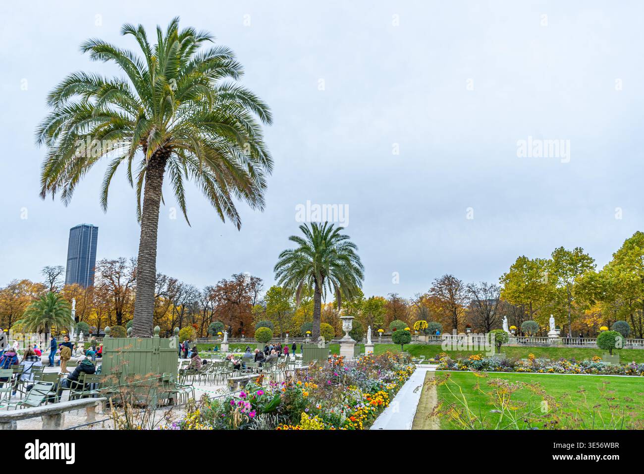 Palme nei Giardini di Lussemburgo nel centro di Parigi. Parco naturale all'aperto. Parigi, Francia - 29 ottobre 2025 Foto Stock