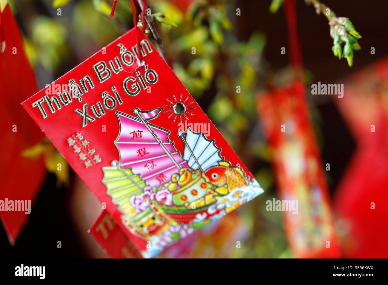 Tu una pagoda. Primo piano del capodanno vietnamita con il design della barca spazzatura sul ramo in erba dell'albicocca. Foto Stock
