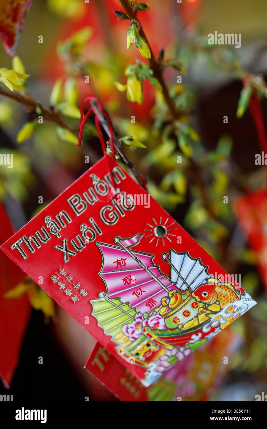 Tu una pagoda. Primo piano del capodanno vietnamita con il design della barca spazzatura sul ramo in erba dell'albicocca. Foto Stock