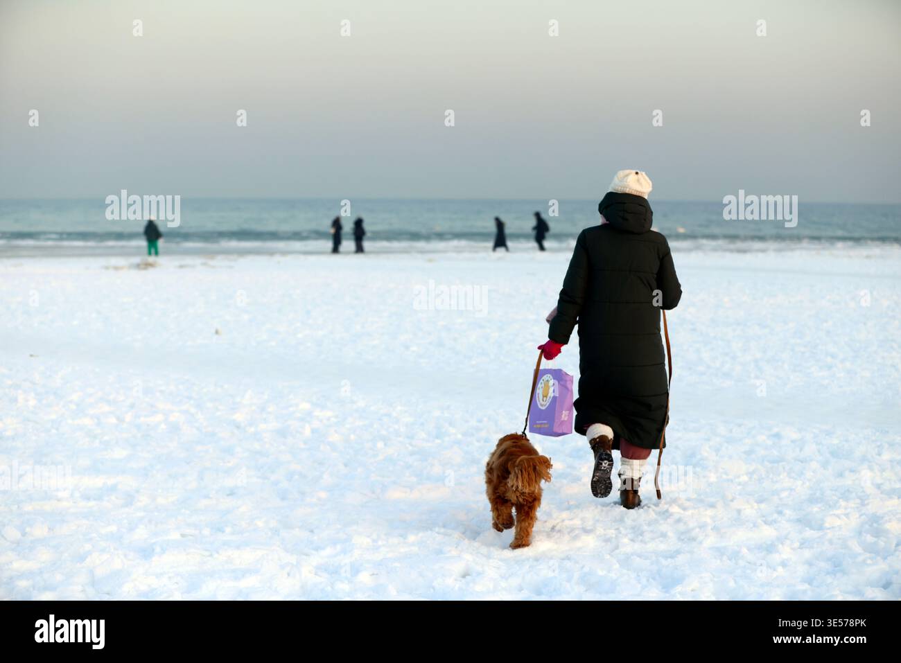 Donna che cammina con il suo cane attraverso la spiaggia innevata verso il freddo mare invernale. Mar Baltico. Sopot. Polonia. Foto Stock