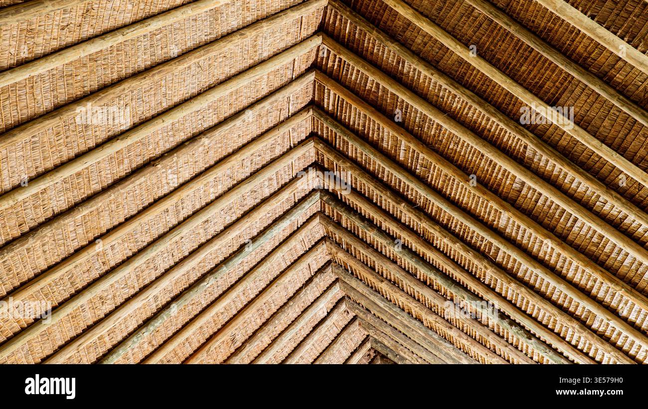 Un tetto africano dalle linee splendidamente lavorate, che mostra architettura tradizionale, motivi geometrici ed estetica culturale del design. Foto Stock