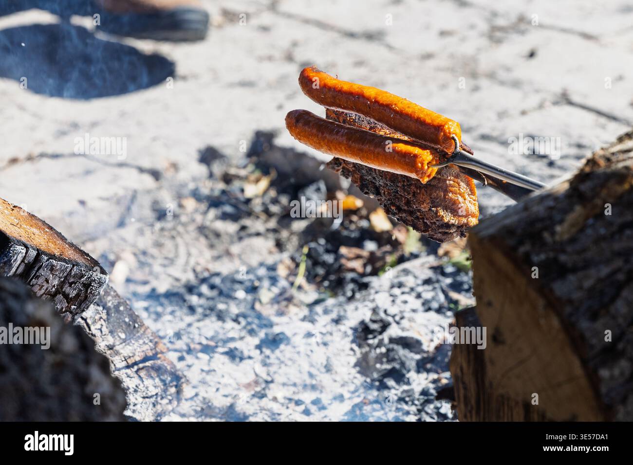 Salsicce succose e carne stagionata arrostita su spiedini di metallo sopra carboni luccicanti di falò durante un picnic estivo all'aperto, trasmettendo vibrazioni rustiche da campeggio Foto Stock
