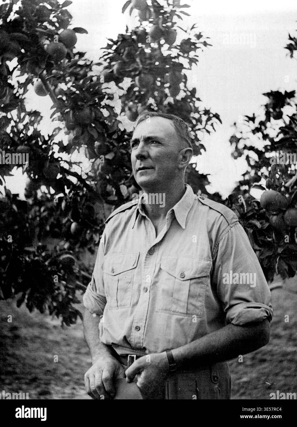 A. Gardiner - Progressive Farmer U.C. Party 1944. 19 marzo 1946. Foto Stock