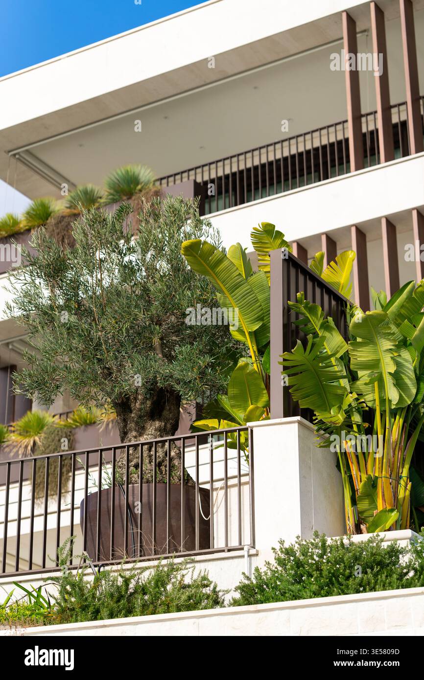Esterno dell'edificio con piante sulla facciata Foto Stock