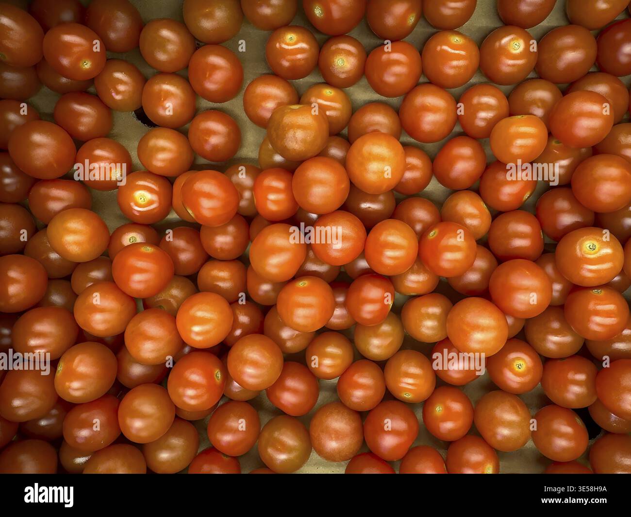 Pomodori ciliegini, mini pomodori, pomodori dolci, pomodori cocktail, internazionali Foto Stock