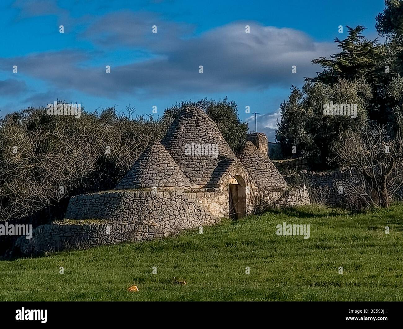 Casa tradizionale dei Trulli vicino ad Alberobello - iconici tetti in pietra conica in Puglia Italia - Villaggio Patrimonio dell'Umanità dell'UNESCO Foto Stock