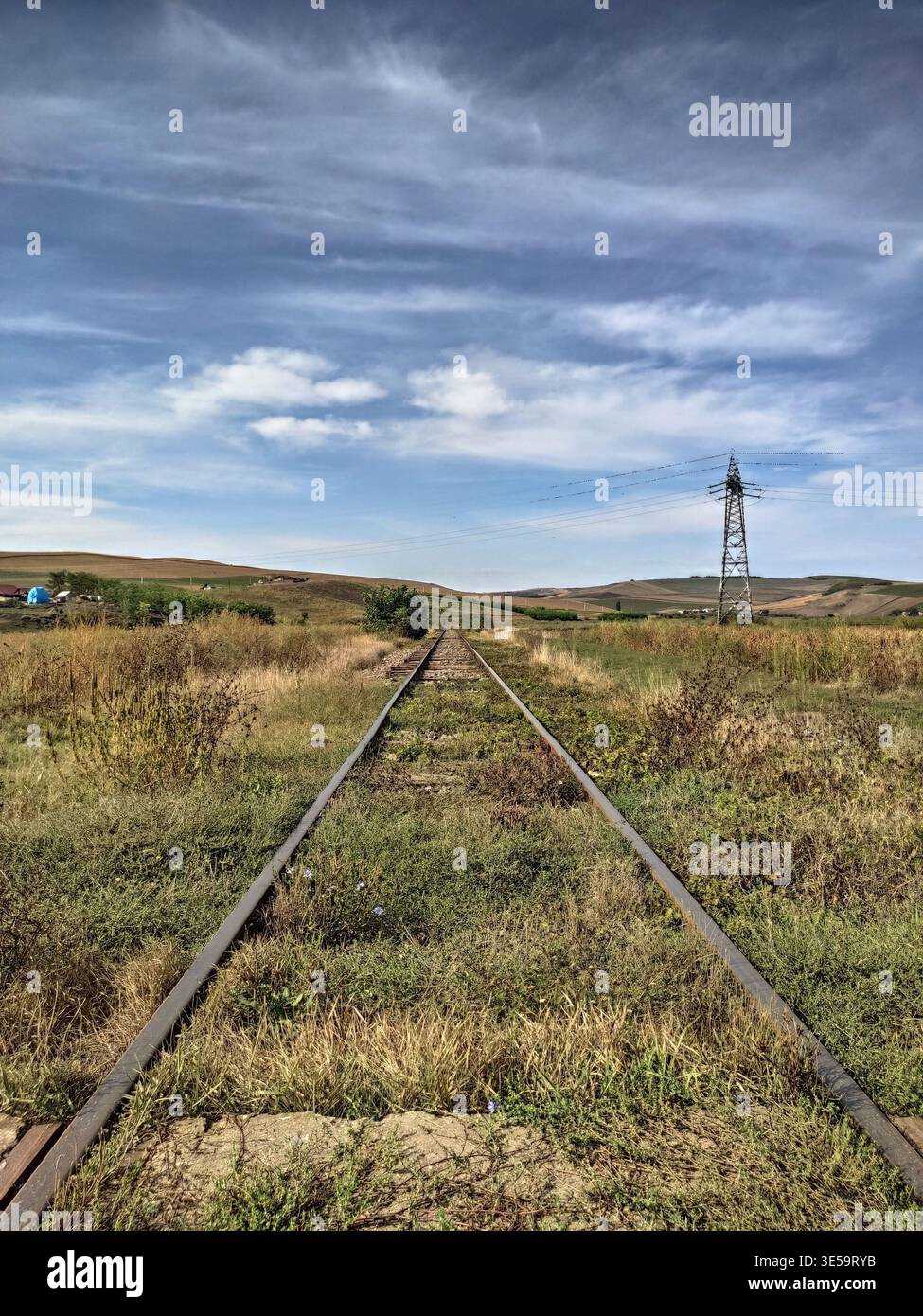 binari ferroviari abbandonati che si estendono attraverso un paesaggio rurale. In Romania i binari appaiono arrugginiti e sono significativamente ricoperti di erba e selvaggina Foto Stock