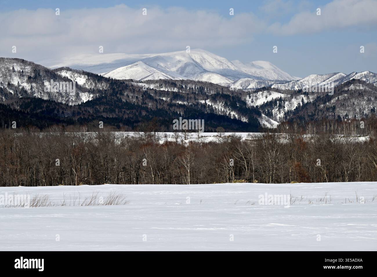 Paesaggio rurale nella neve, isola di Hokkaido, Giappone. Foto Stock