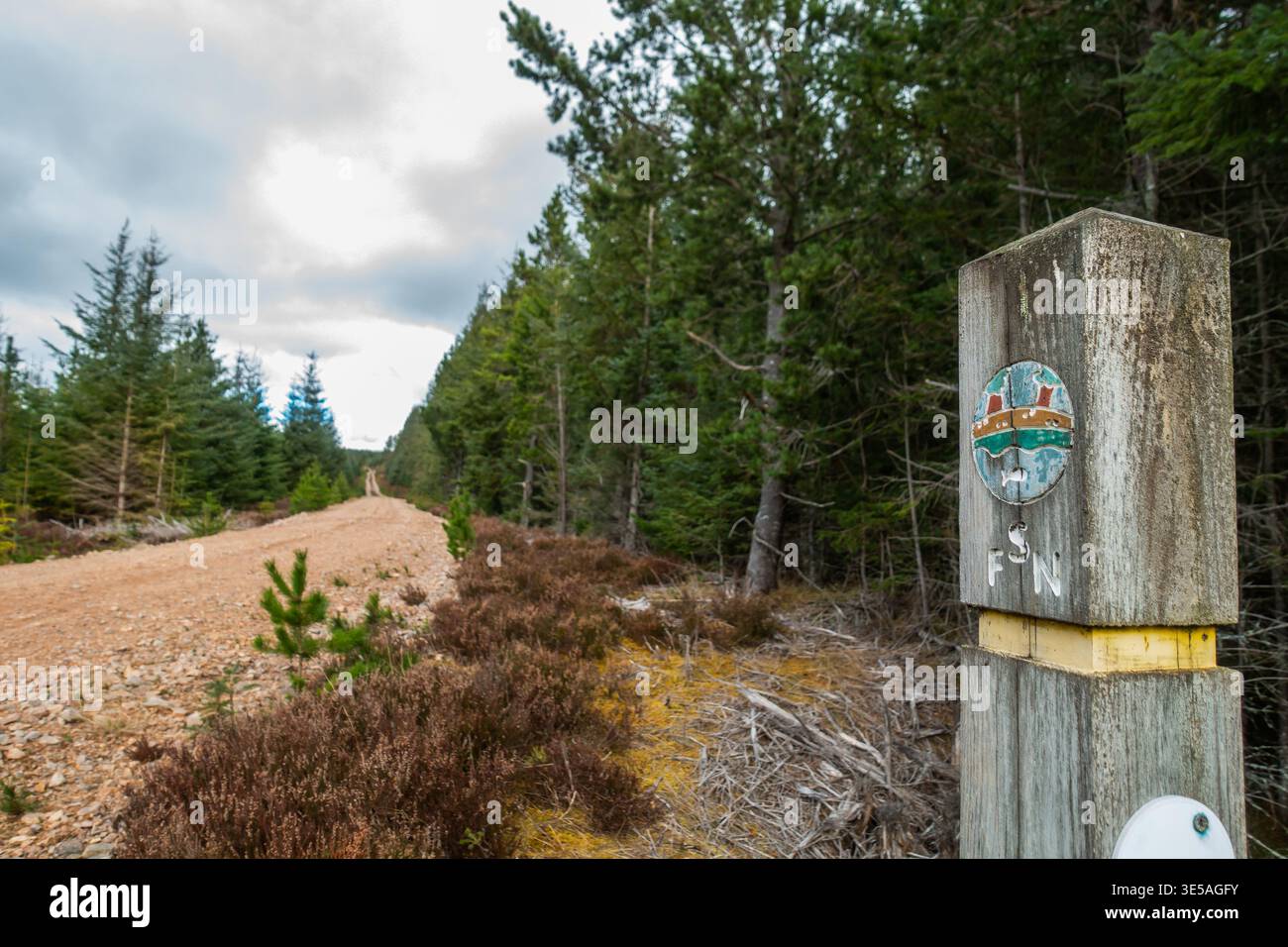 Segnaletica stradale nella foresta di Elchies vicino ad Archiestown, Moray, Scozia Foto Stock