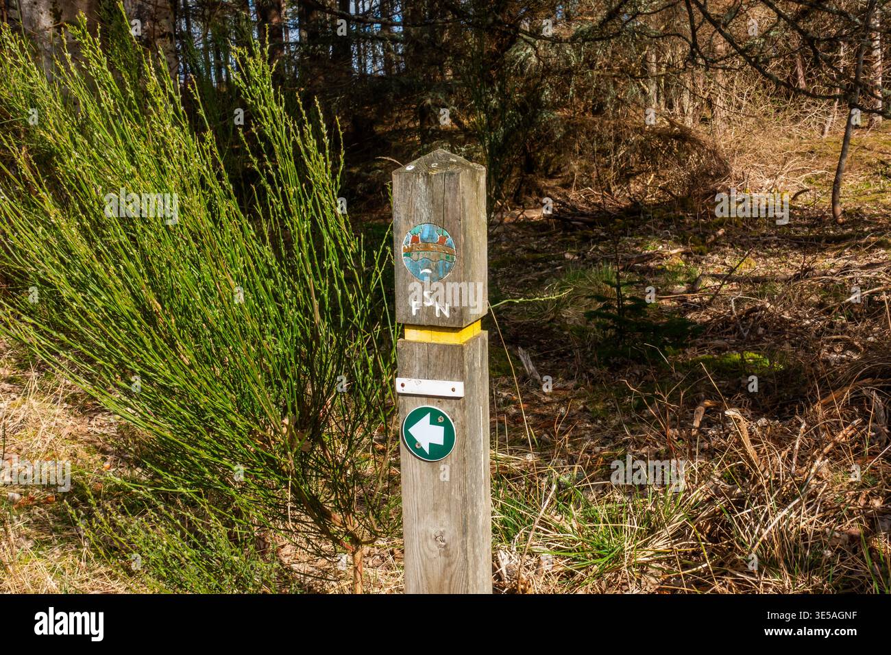 Segnaletica stradale nella foresta di Elchies vicino ad Archiestown, Moray, Scozia Foto Stock