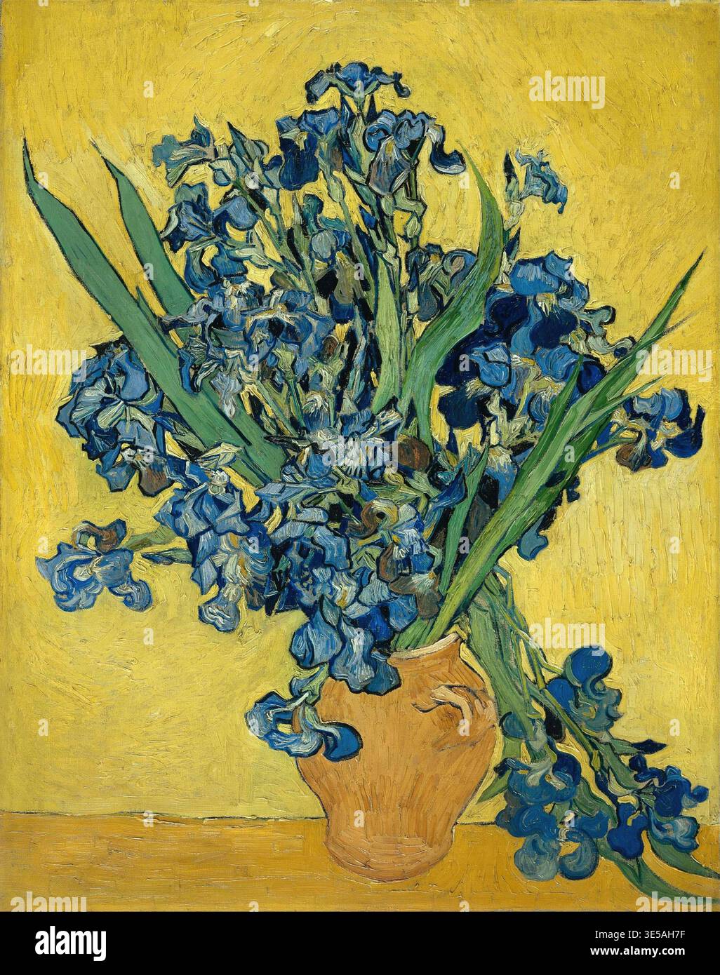 Iris 1890, Iris 1890, Gemälde von Vincent Willem van Gogh geb. 30. März 1853 a Groot-Zundert, gest. 29. Juli 1890 a Auvers-sur-Oise, niederländisc Foto Stock