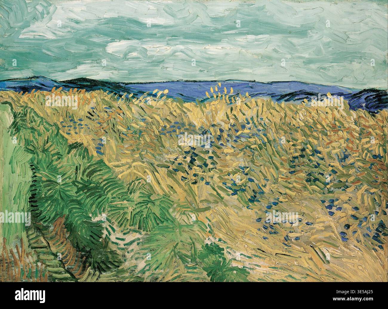 Wheatfield with Cornflowers 1890, Weizenfeld mit Kornblumen 1890, Gemälde von Vincent Willem van Gogh geb. 30. März 1853 a Groot-Zundert, gest. 29. J Foto Stock