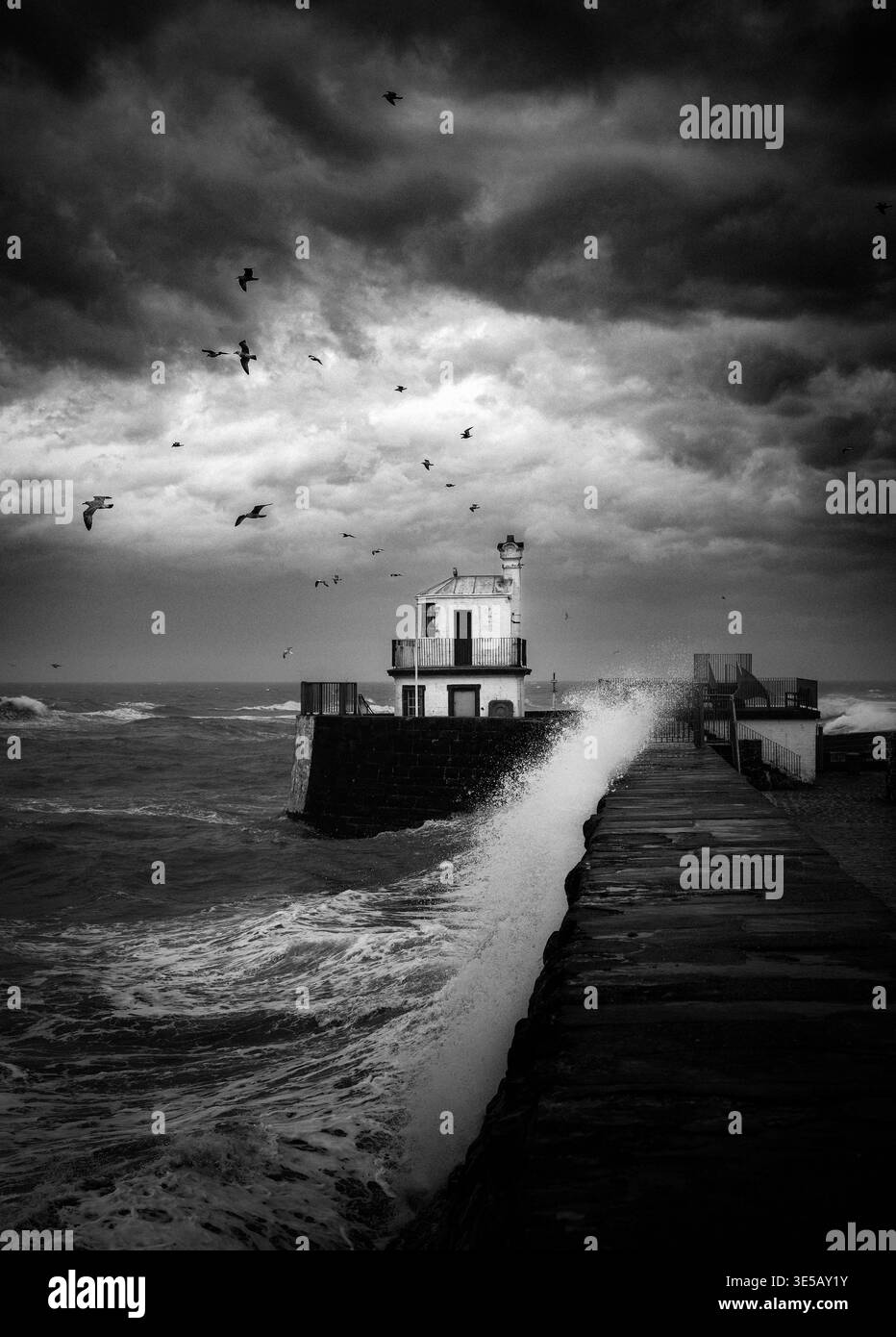 Le onde si infrangono sul molo del porto di Arbroath durante una tempesta mentre i gabbiani volano sopra la storica Signal House, Angus, Scozia. Foto Stock