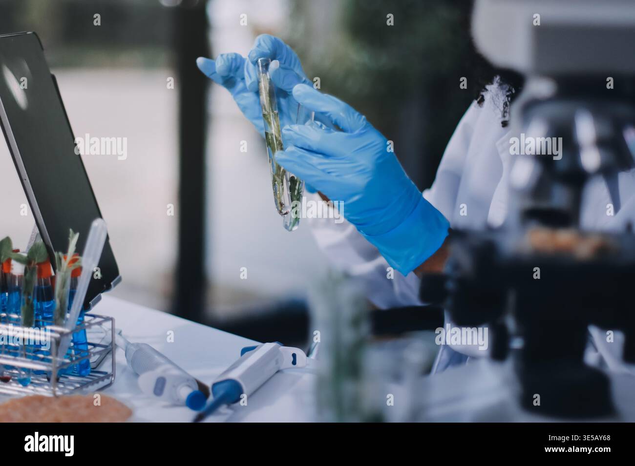 Laboratorio chimico dell'alimentazione alimentare. Alimenti in laboratorio, dna modificano .OGM alimenti geneticamente modificati in laboratorio . Foto Stock