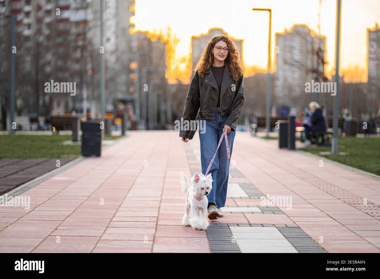 Donna che cammina con un cane carino nel parco cittadino al tramonto Foto Stock