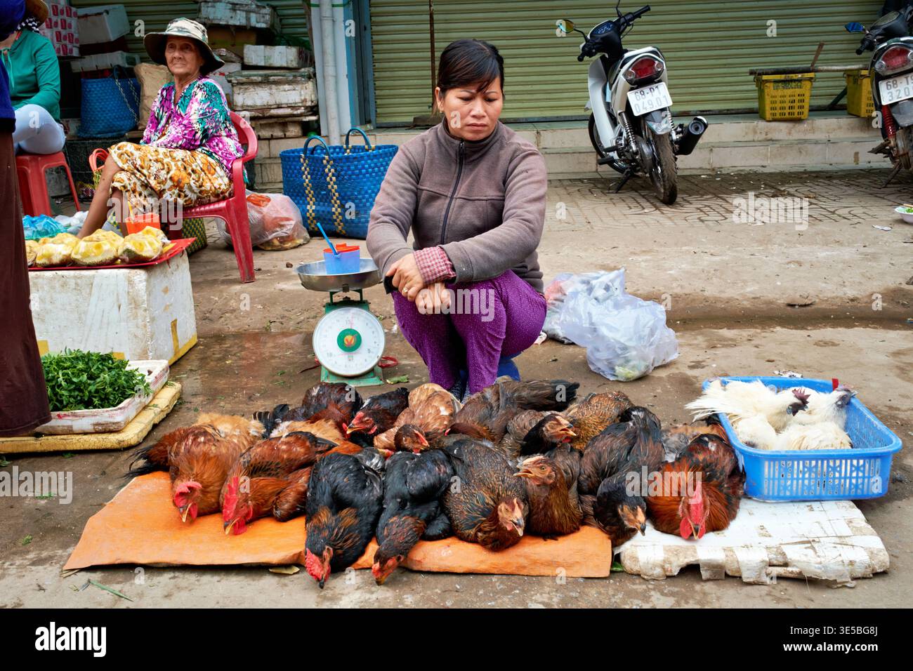 Le donne vendono polli vivi in un mercato affollato a Phu Quoc, Vietnam. La scena mostra varie attività e merci in vendita. Foto Stock