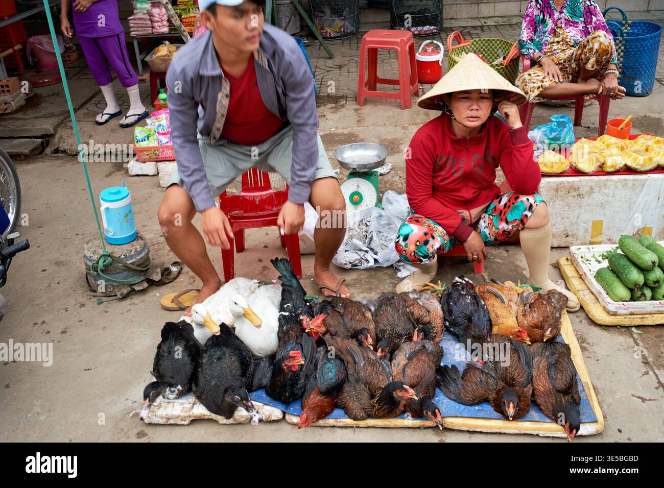 I venditori di un mercato di Phu Quoc vendono vari tipi di pollame mentre gli acquirenti navigano. Questa scena cattura la vita quotidiana in Vietnam. Foto Stock