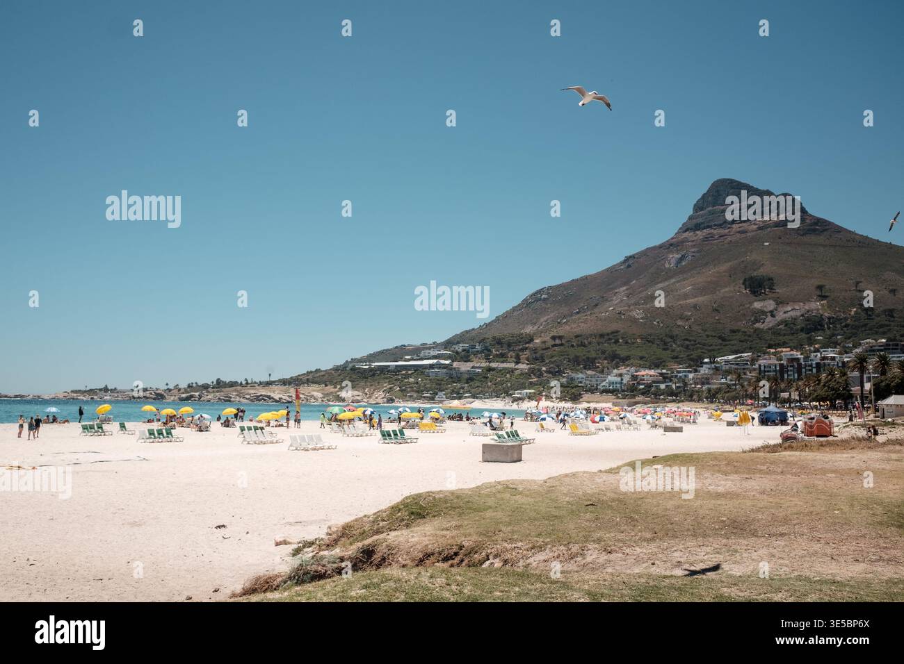 Camps Bay, città del Capo, Sud Africa, mostrando la testa dei leoni sullo sfondo. Foto Stock