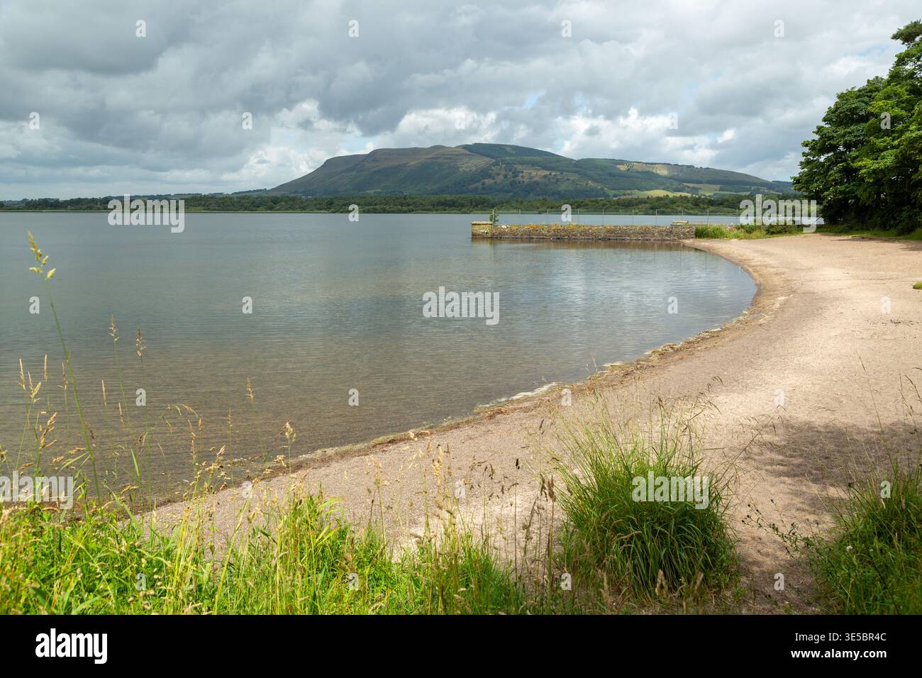 Una spiaggia sabbiosa sulla riserva naturale di Loch Leven, Kinross, Scozia Foto Stock