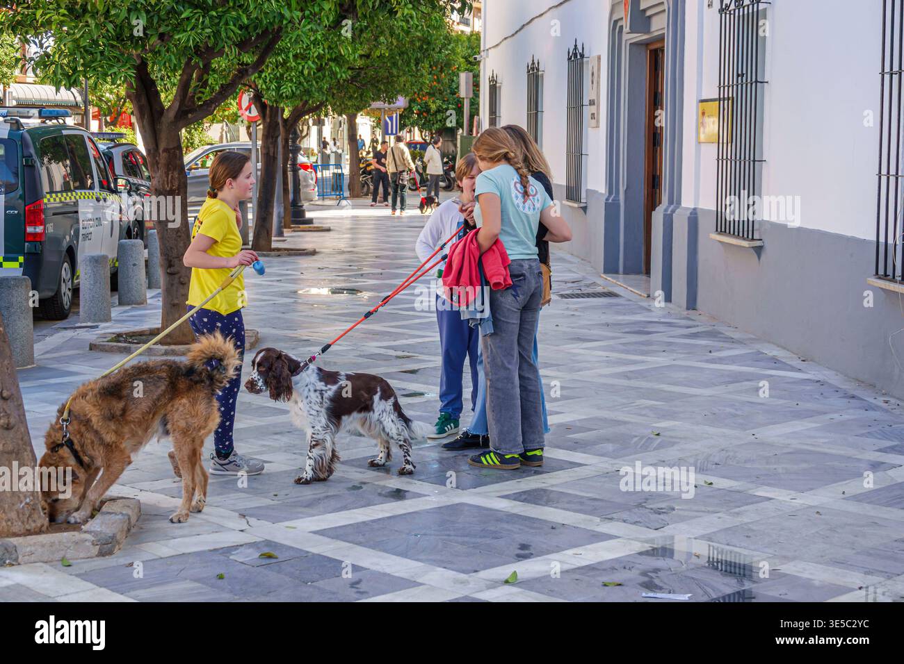 Antequera Spain, Andalusia, Alameda de Andalucia, Calle Infante Don Fernando, bambini, ragazze, bambini, cani da passeggio, cani, guinzagli, strada pedonale marciapiede Foto Stock