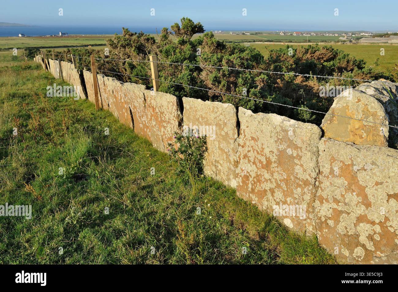 Recinzione in pietra per creare barriere che circondano i campi per contenere il bestiame, costruita utilizzando lastre di pietre miliari di provenienza locale, vicino a John o'Groats. Foto Stock