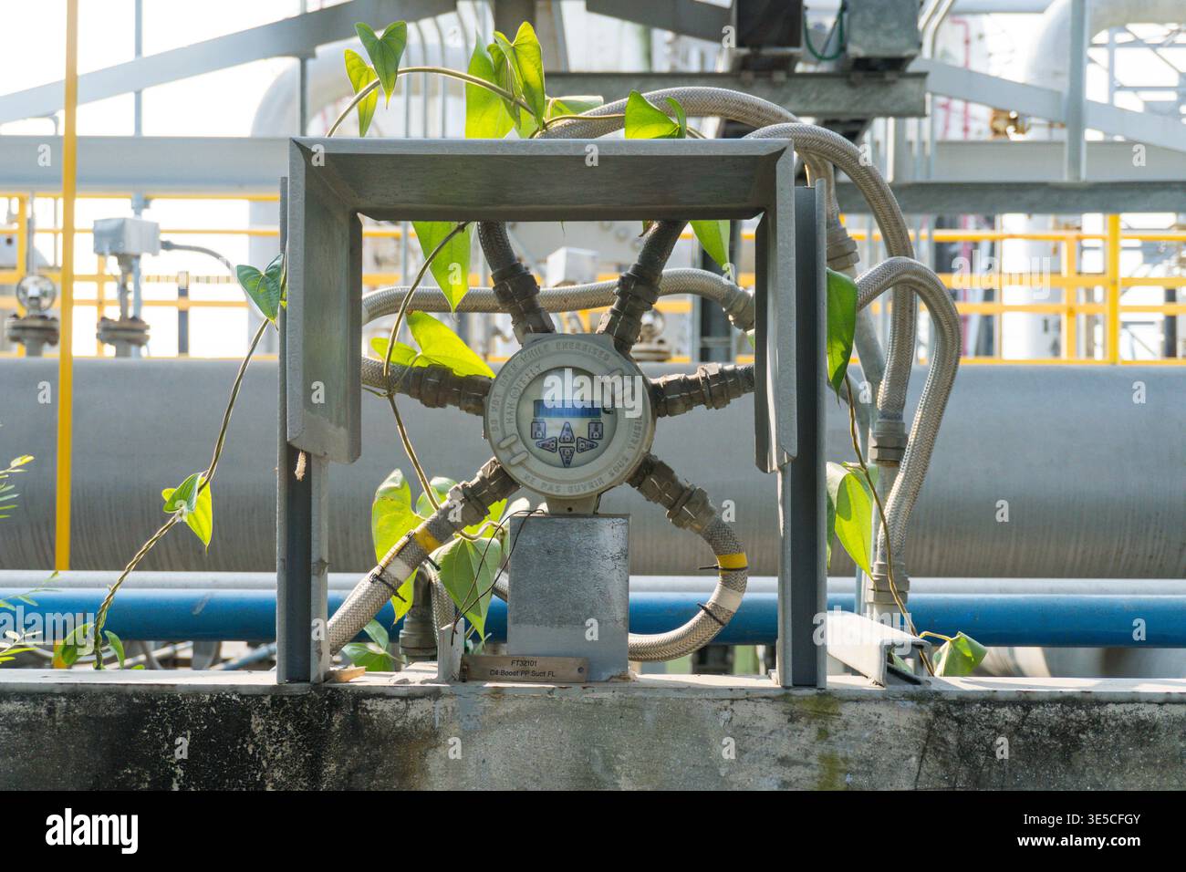 Valvola del gas industriale con vigneti verdi che crescono intorno ad essa. Il telaio e i tubi metallici mostrano segni di usura. Le piante si muovono sui macchinari, aggiungendo Foto Stock