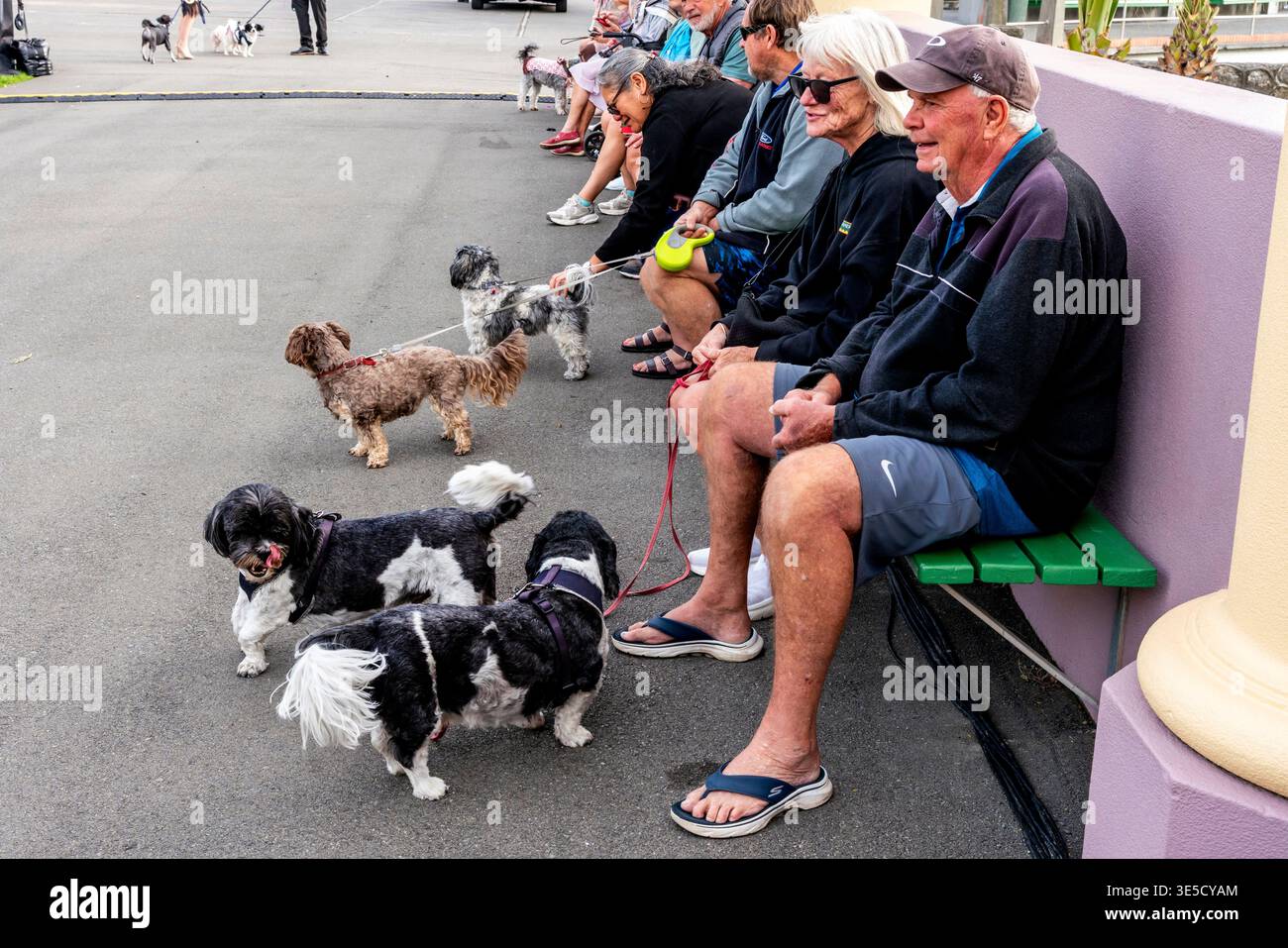 La gente del posto, insieme ai cani da compagnia, aspetta l'inizio della Deco Dog Parade, il Napier Art Deco Festival, Napier, Hawke's Bay, nuova Zelanda Foto Stock