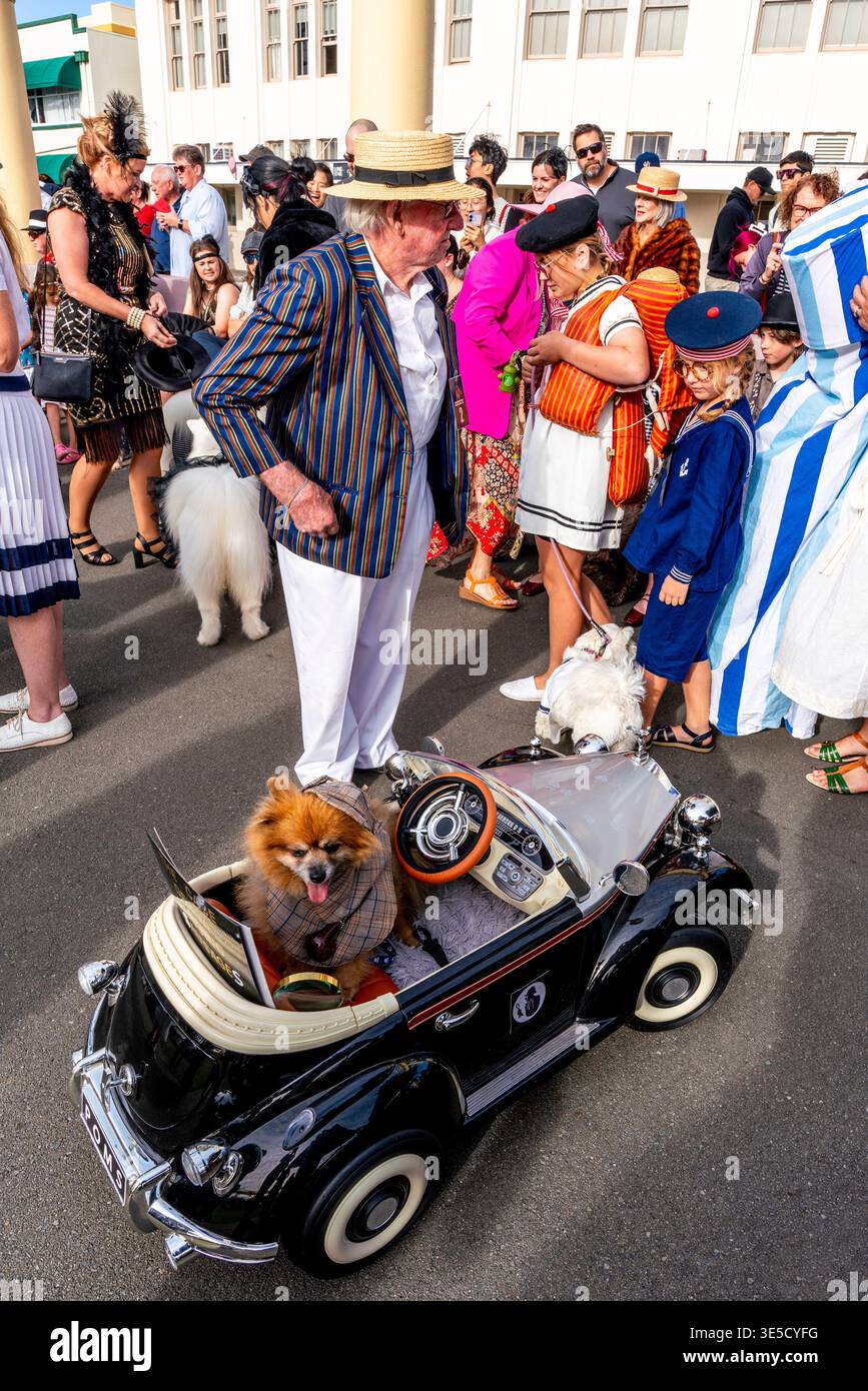 I cani che indossano abiti fantasiosi partecipano alla Annual Deco Dog Parade, al Napier Art Deco Festival, a Napier, a Hawke's Bay, nuova Zelanda Foto Stock