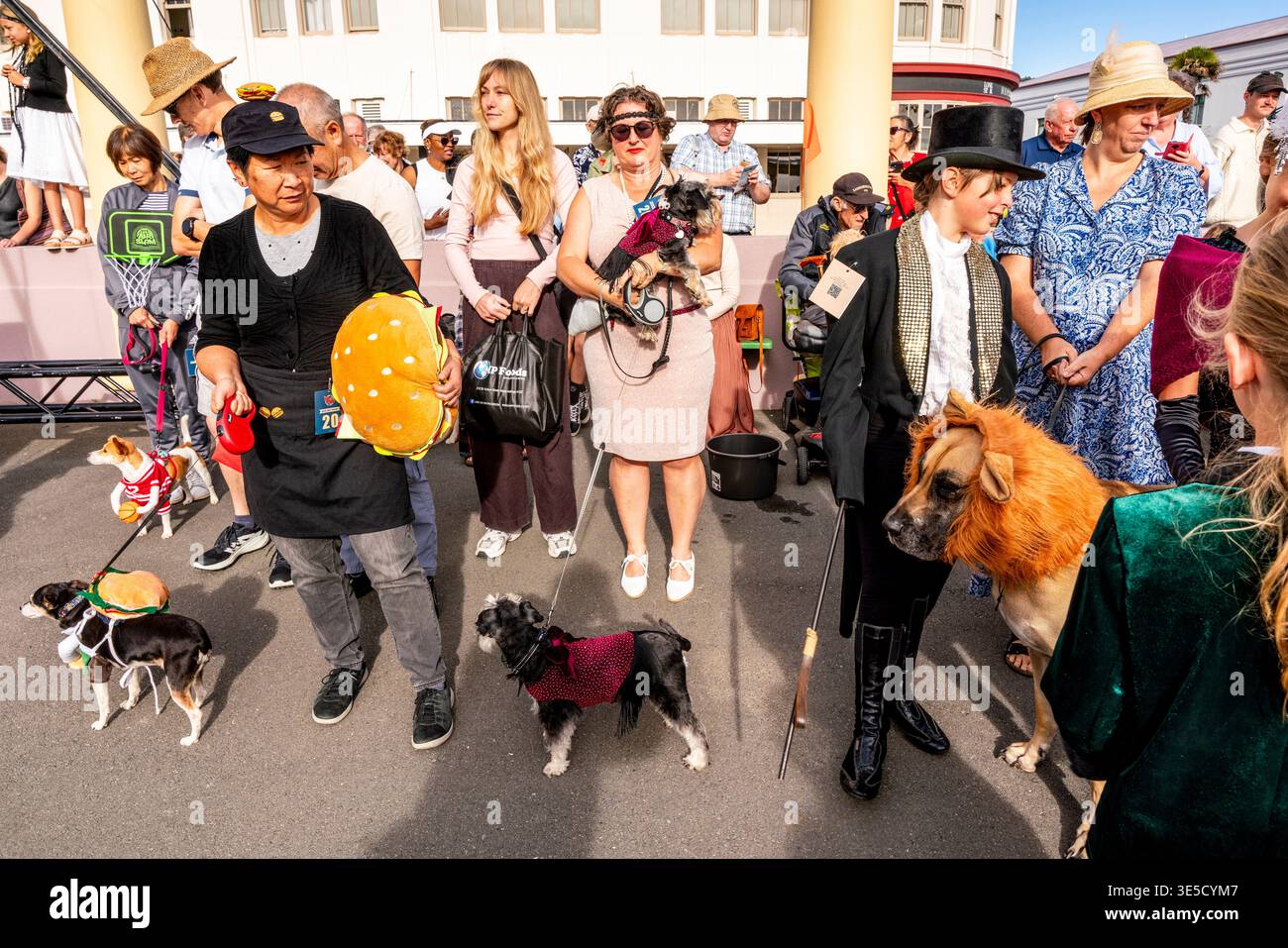 Gli appassionati di costumi Art Deco e i loro cani da compagnia attendono l'inizio della Deco Dog Parade, del Napier Art Deco Festival, di Napier, di Hawke's Bay, nuova Zelanda Foto Stock
