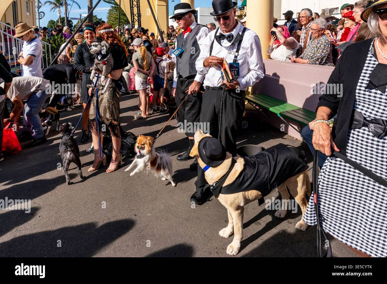 Gli appassionati di costumi Art Deco e i loro cani da compagnia attendono l'inizio della sfilata annuale dei cani Deco, del Napier Art Deco Festival, Napier, nuova Zelanda Foto Stock