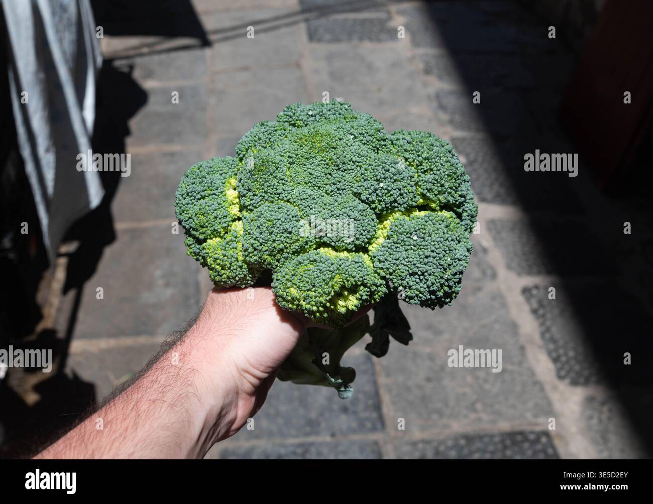 Un broccoli fresco e sano è pronto da mangiare. Foto Stock