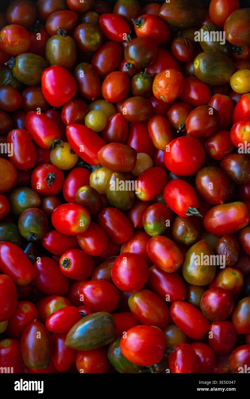 I bellissimi e colorati pomodori ciliegini sul banco del negozio di alimentari attirano l'attenzione dei turisti. Foto Stock