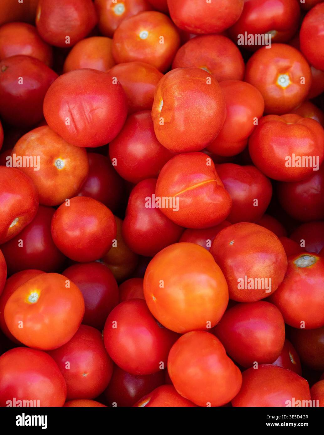I pomodori rossi si trovano sulla parte anteriore del negozio di alimentari. Foto Stock