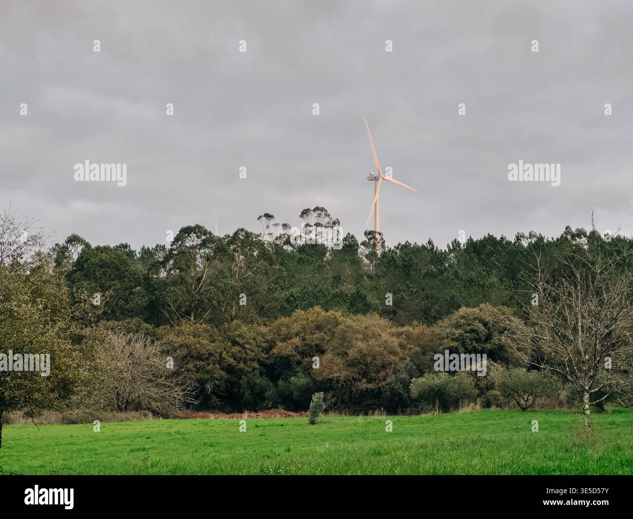Una turbina eolica si erge su un cielo nuvoloso, mescolandosi con una lussureggiante foresta verde, che rappresenta energia sostenibile, risorse rinnovabili ed ecologia Foto Stock